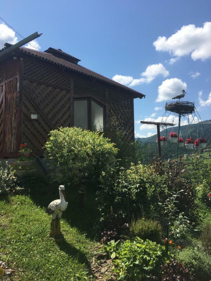 Відпочинок У Пронів Hotel Slavske Bagian luar foto