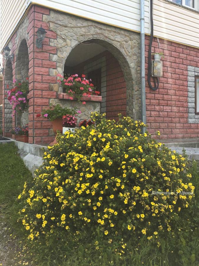 Відпочинок У Пронів Hotel Slavske Bagian luar foto