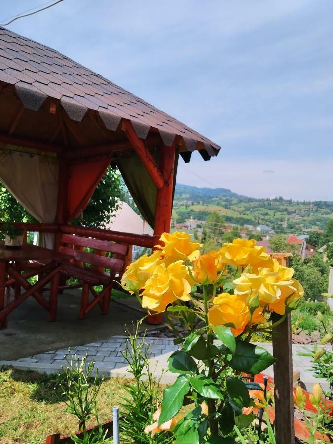 Відпочинок У Пронів Hotel Slavske Bagian luar foto